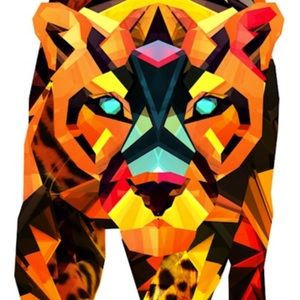 Meet your Posher, Salvador